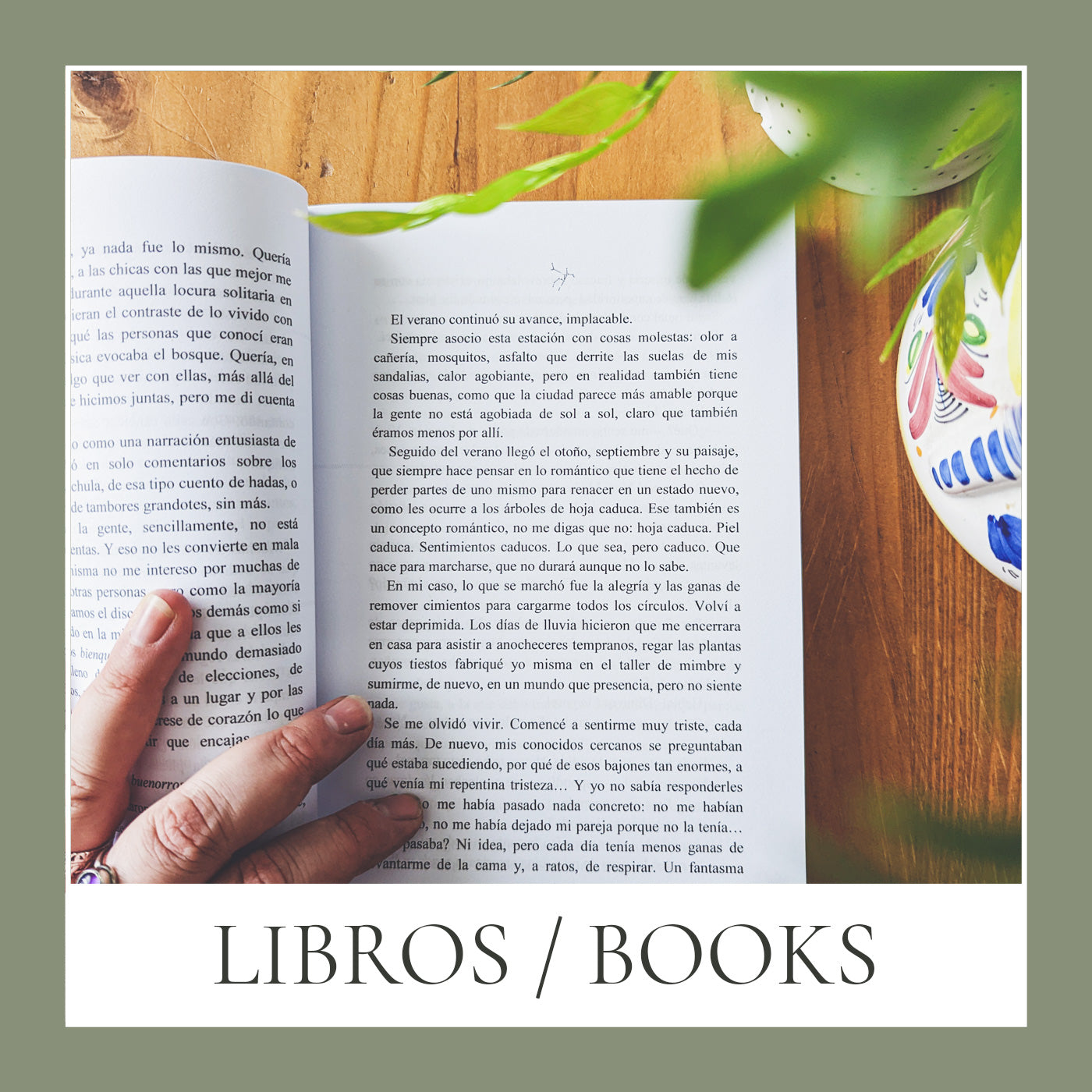 LIBROS / BOOKS