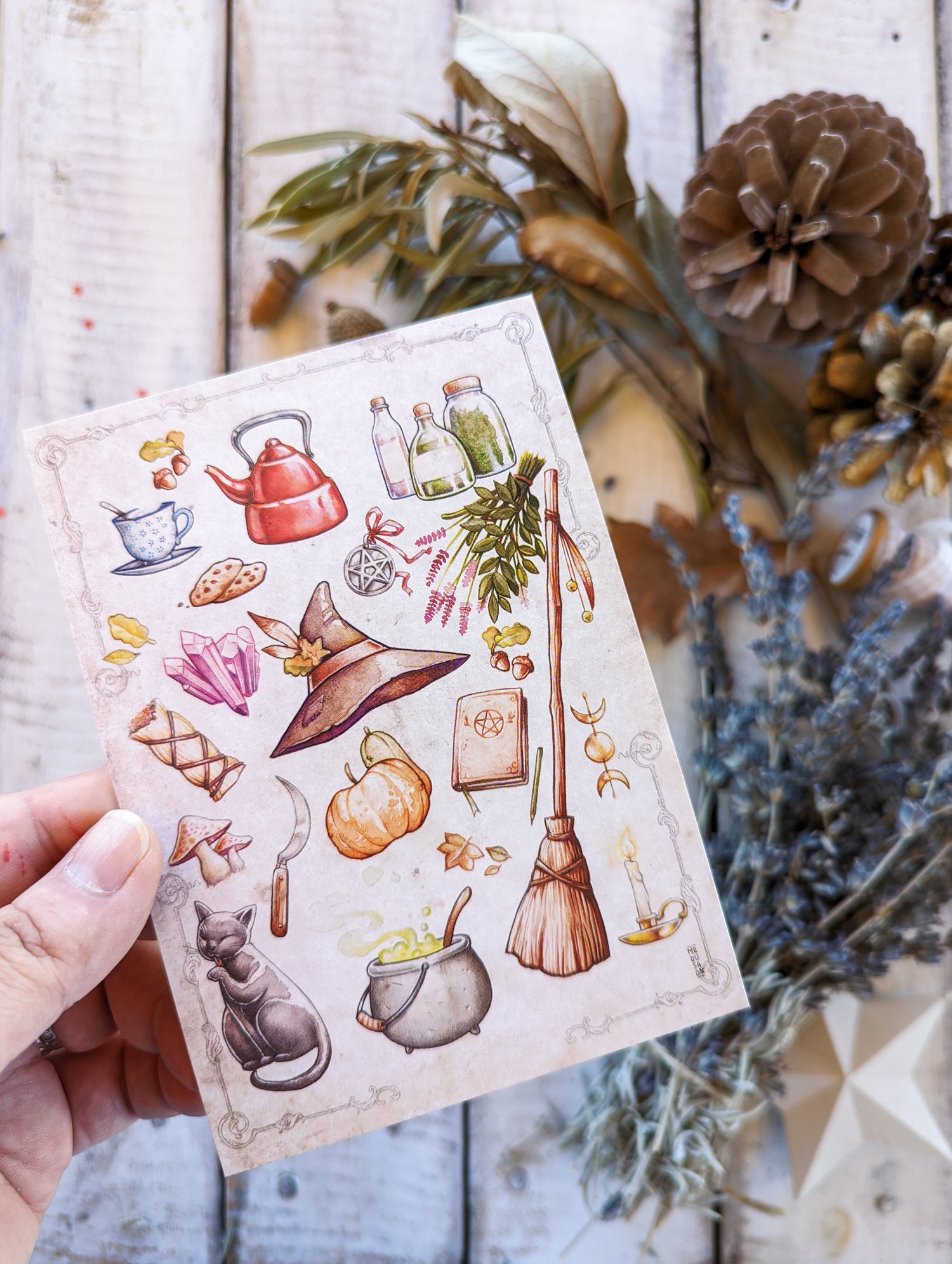 WITCH ELEMENTS PUMPINK TEAPOT CUP KNIFE HERBAL  FOLK WITCH CAT HAT READ MOON BOOKS