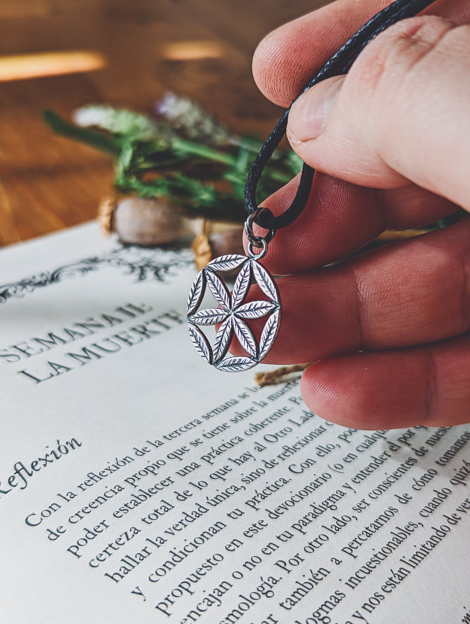 FLOWER HEXAFOIL WHEEL NECKLACE HEXAPÉTALA PLATA 925 MEDAL PENDANT