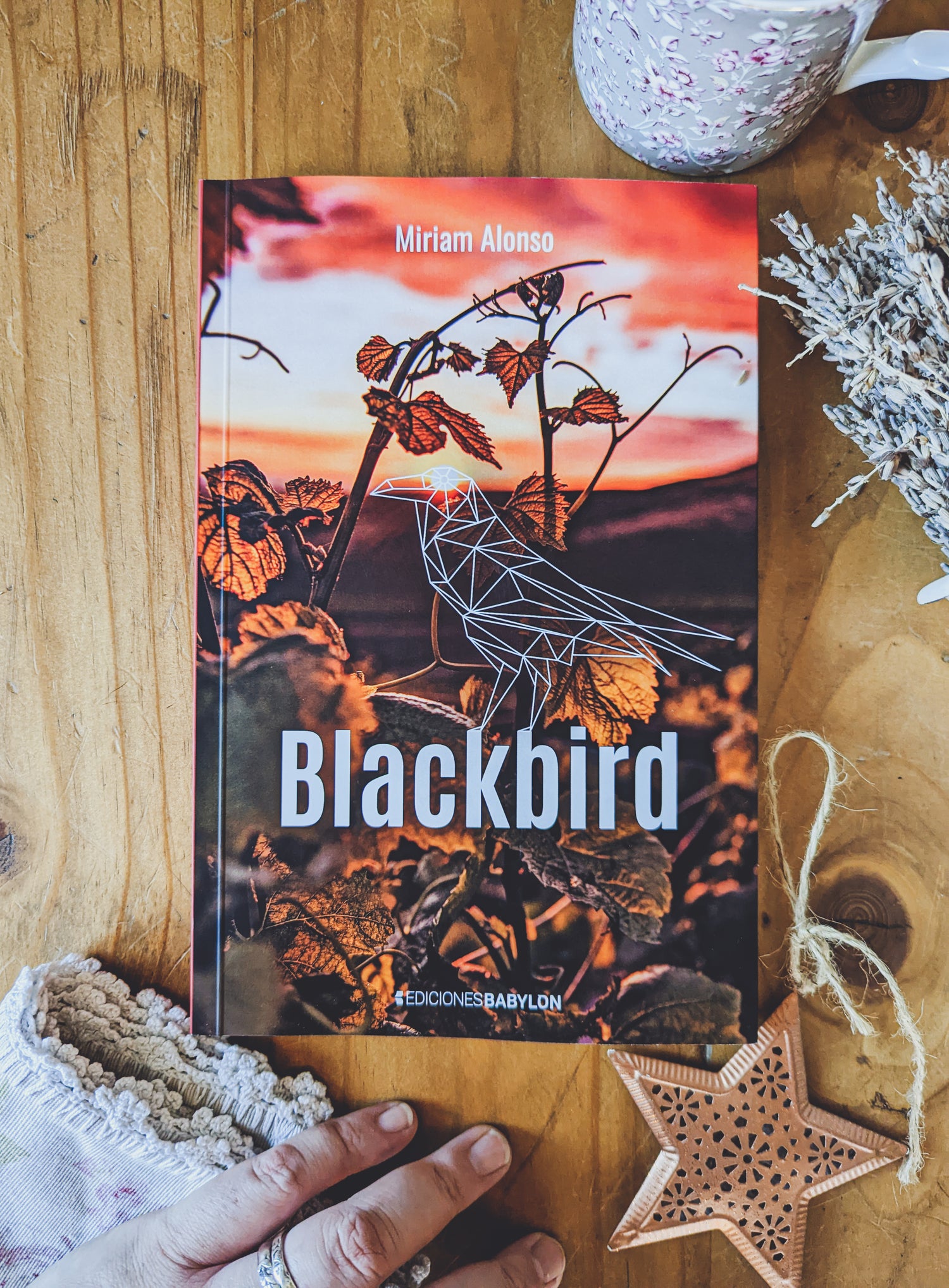 Blackbird libro novela en español Miriam Alonso novela de confort bosques hadas leyendas filandón ediciones babylon viñedos vino magia realismo mágico