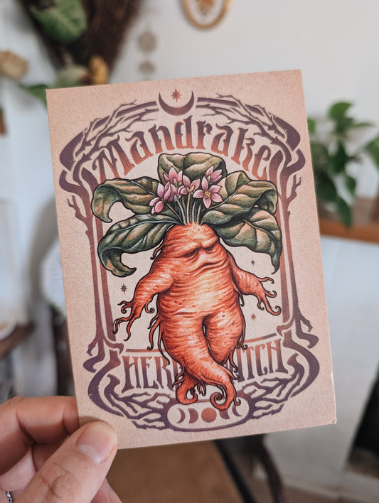 MANDRAKE POSTCARD - MINI PRINT 4x6'' DinA6 Art by Medusa Dollmaker