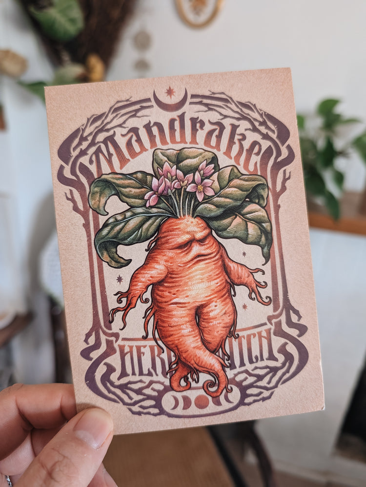 MANDRAKE POSTCARD - MINI PRINT 4x6'' DinA6 Art by Medusa Dollmaker